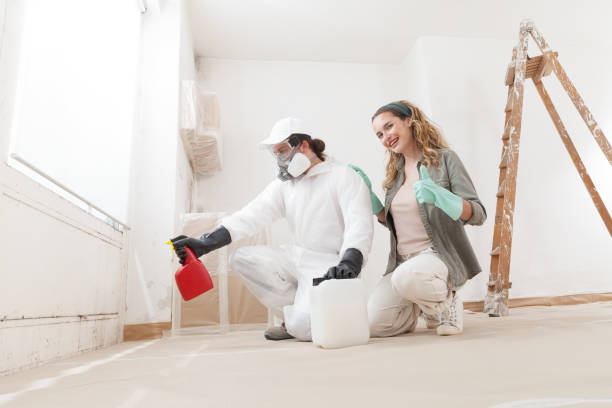 Best Environmental Consulting for Mold Prevention  in Six Shooter Canyon, AZ