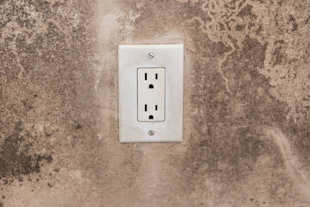 Best Biohazard Mold Removal  in Six Shooter Canyon, AZ
